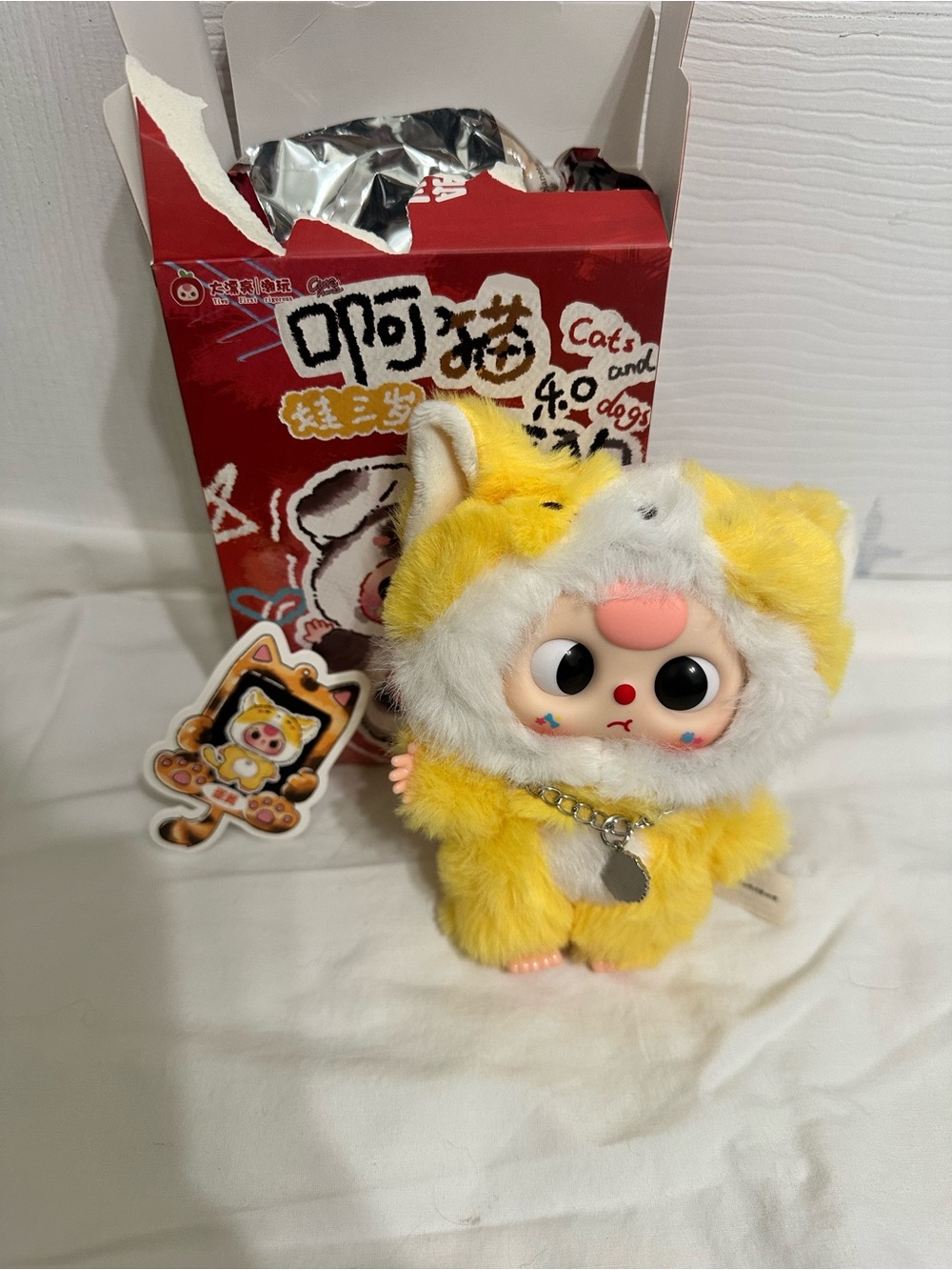 Baby Three Cats and Dogs Yellow Cat